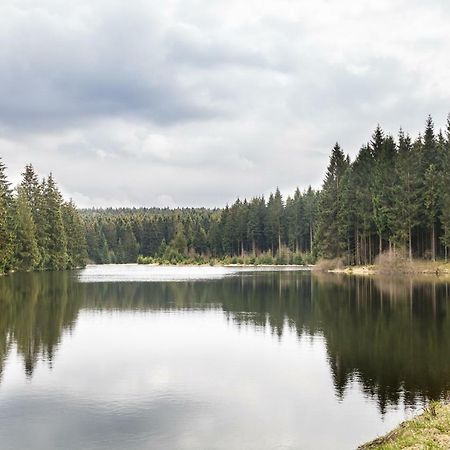 클라우슈탈젤러펠트 Ferienhaus Selke Am Bach 빌라 외부 사진